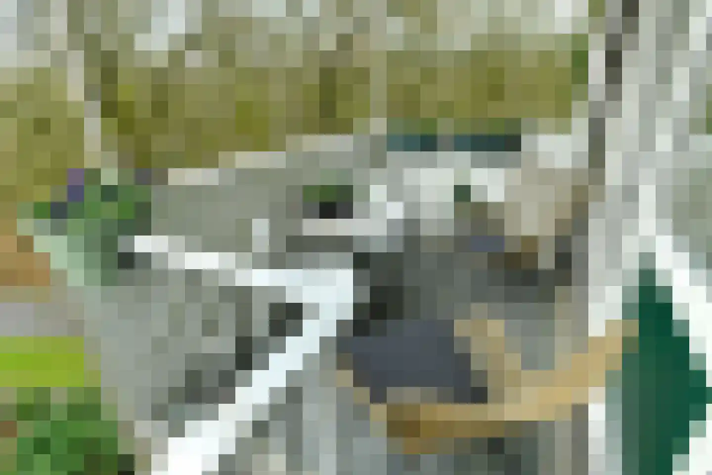 Koningsberg 20 Doorwerth thumbnail 21