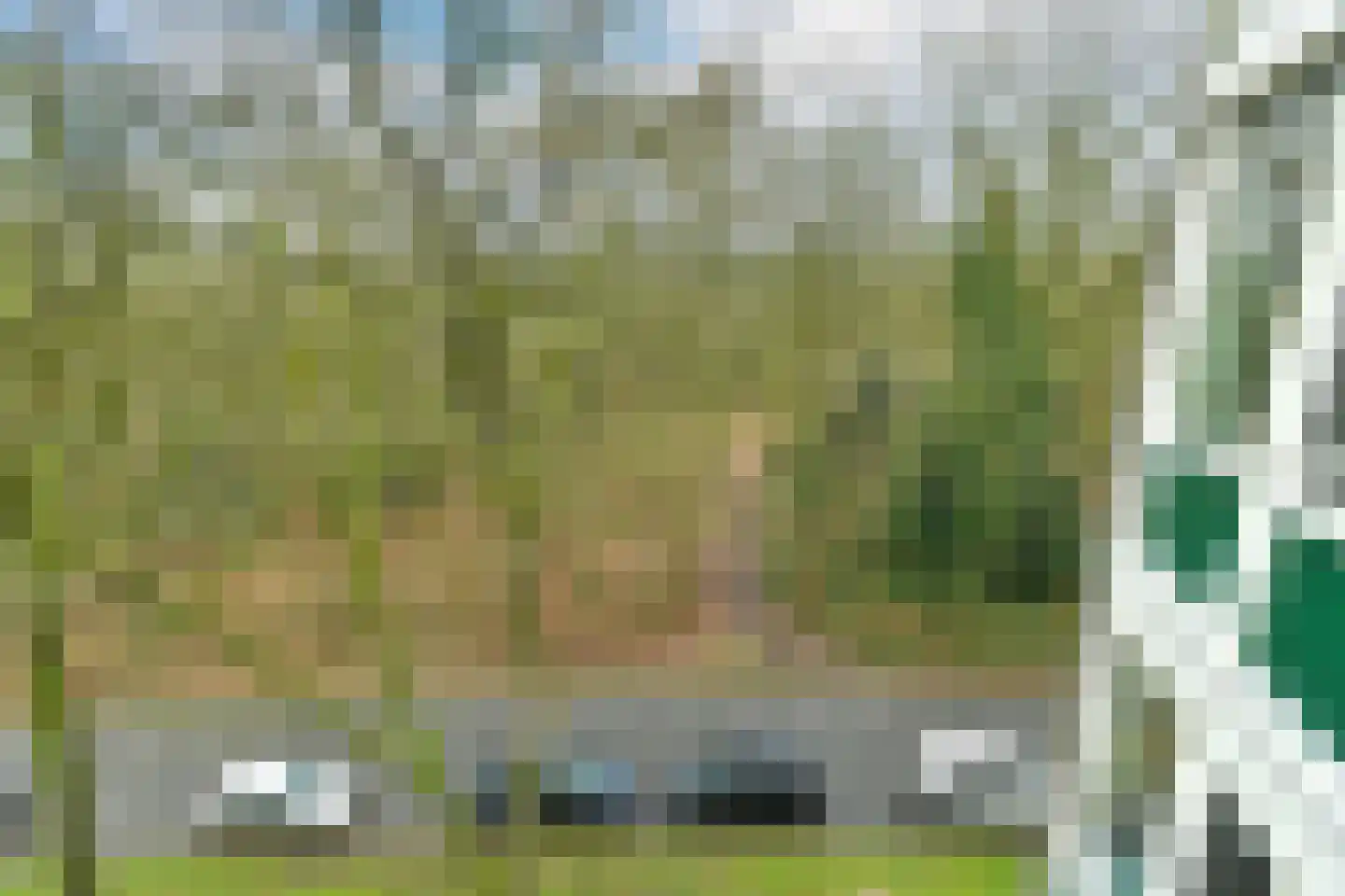 Koningsberg 20 Doorwerth thumbnail 25