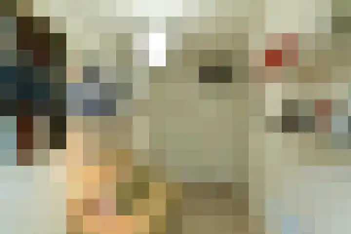 Koningsberg 20 Doorwerth thumbnail 29