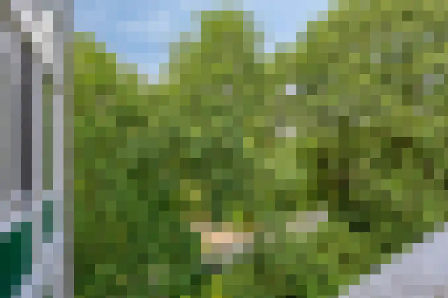 Koningsberg 21 Doorwerth thumbnail 36