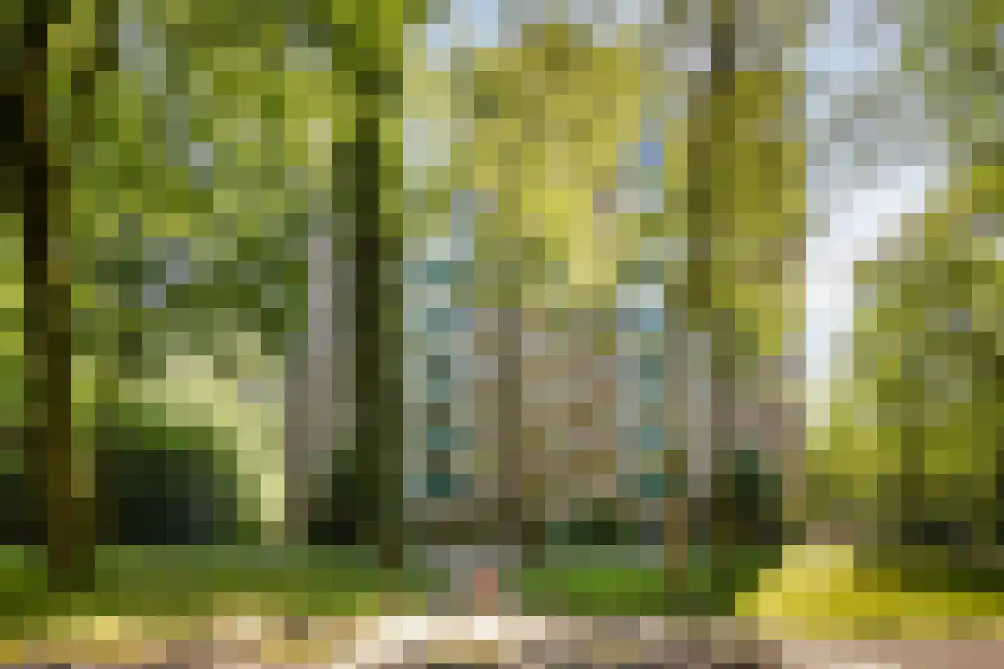 Koningsberg 21 Doorwerth thumbnail 45