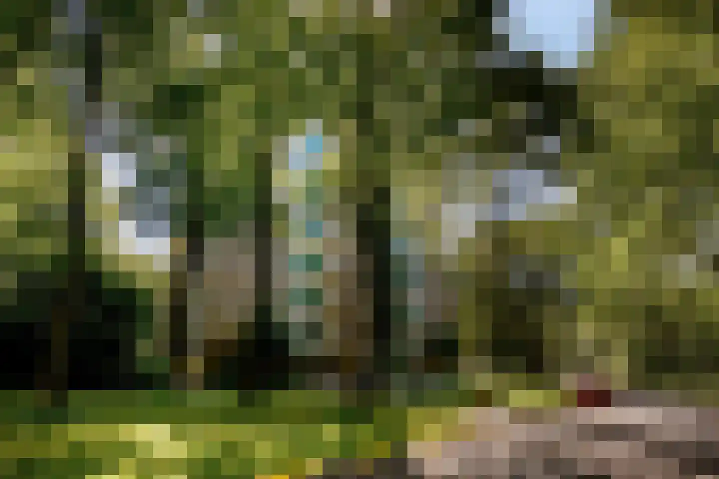 Koningsberg 21 Doorwerth thumbnail 5