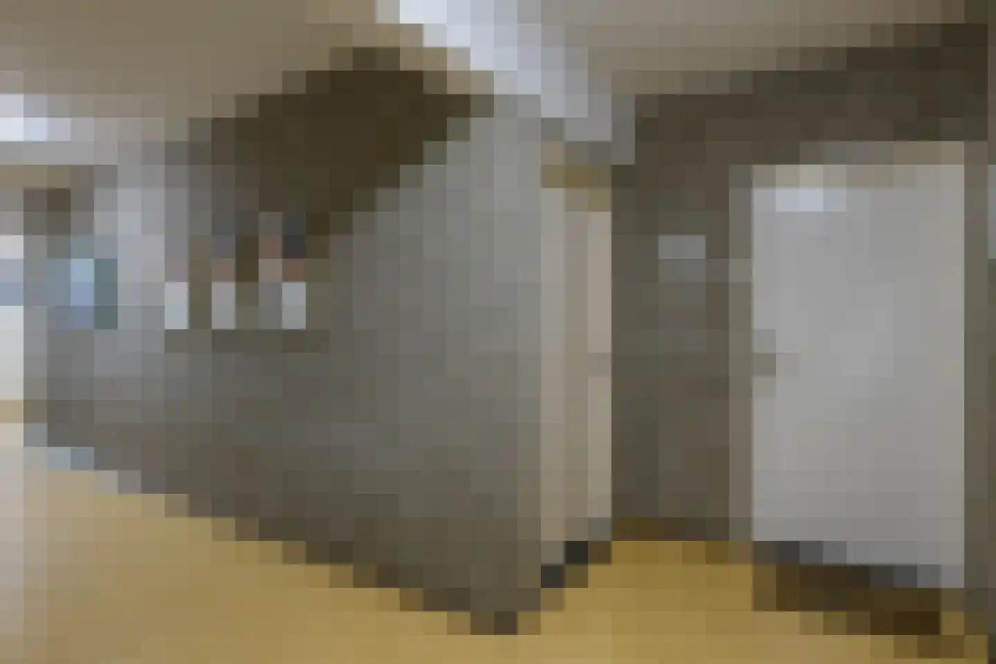 Koningsberg 57 Doorwerth thumbnail 7