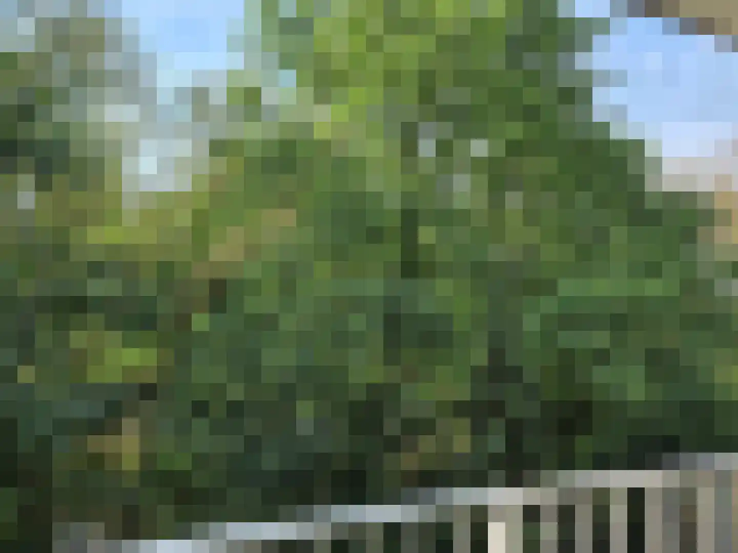Koningsberg 58 Doorwerth thumbnail 10
