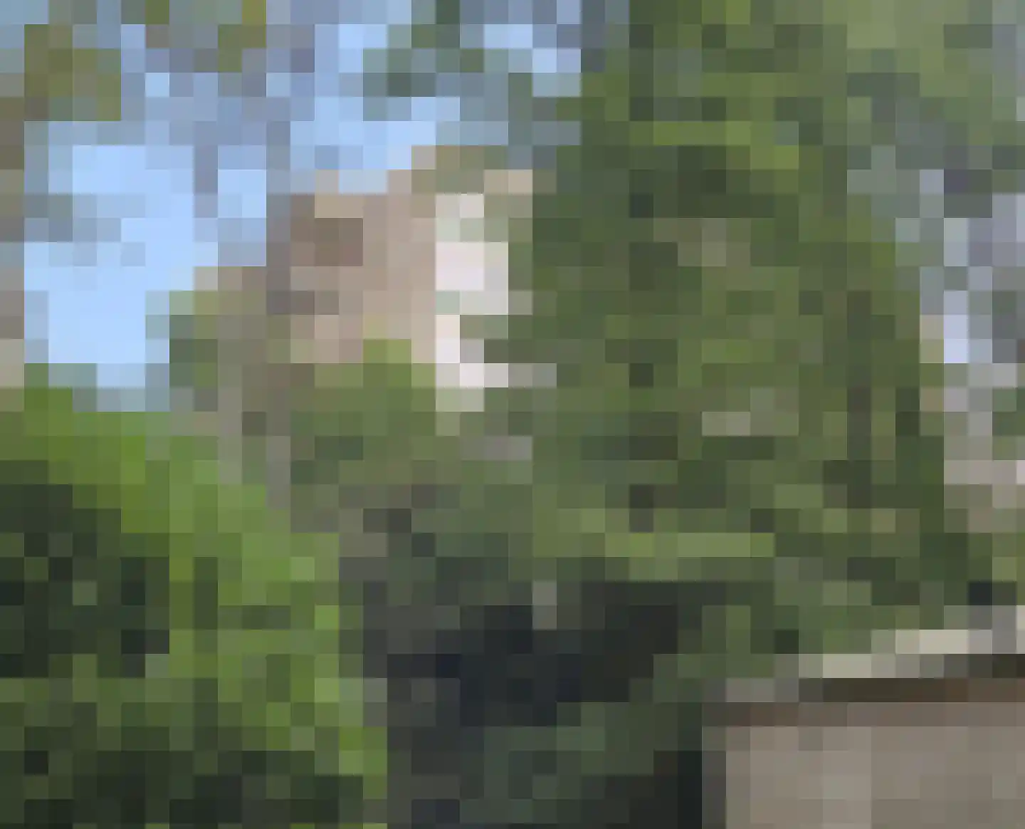 Koningsberg 58 Doorwerth thumbnail 22