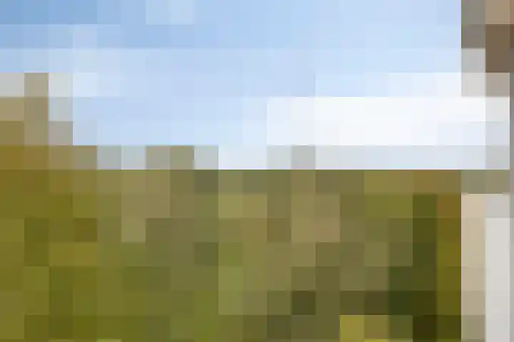 Koningsberg 73 Doorwerth thumbnail 26