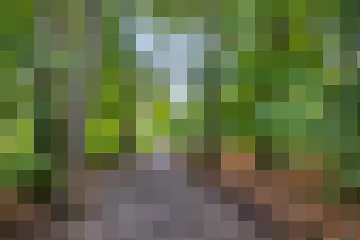 Koningsberg 73 Doorwerth thumbnail 27