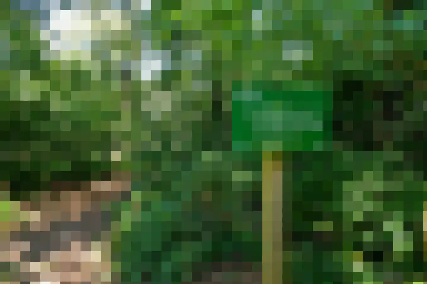 Koningsberg 73 Doorwerth thumbnail 33