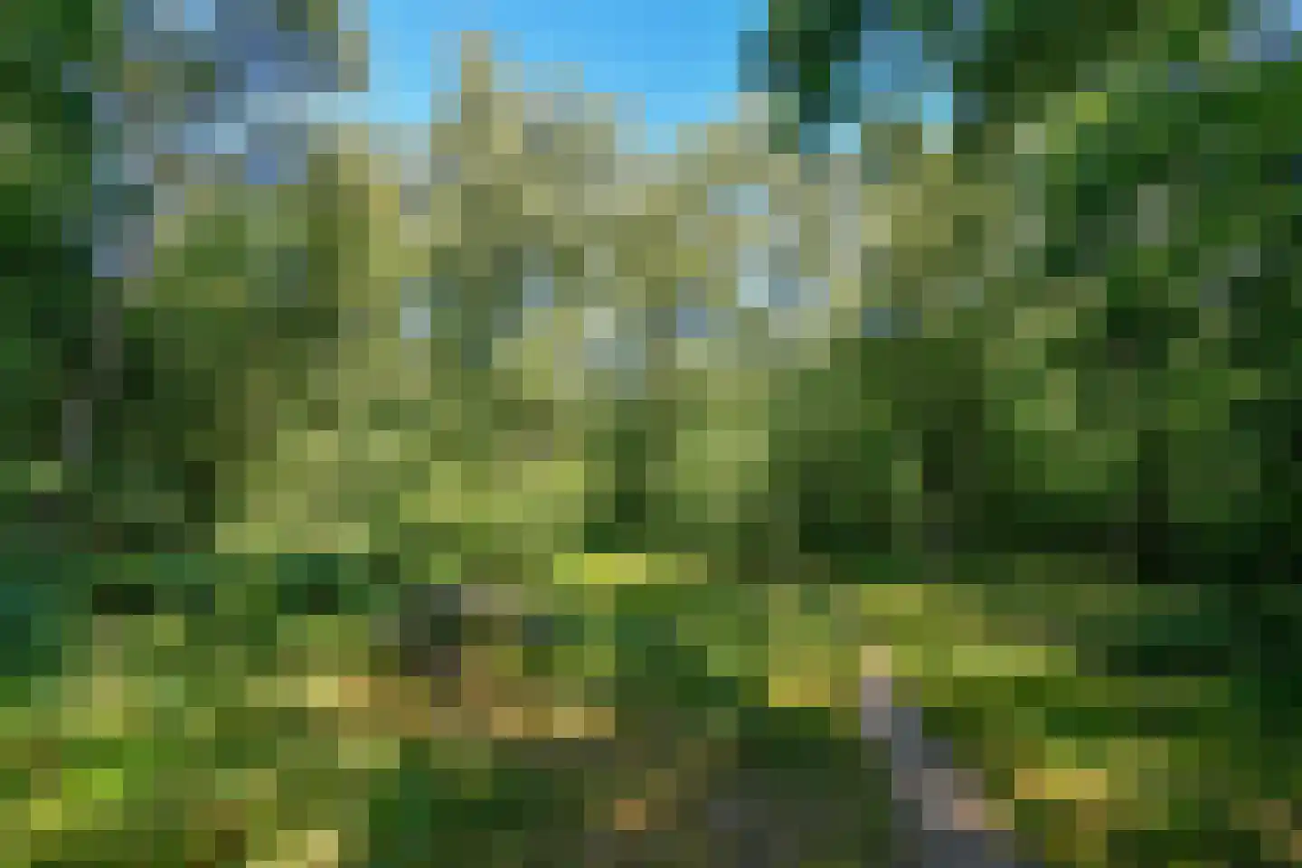 Koningsberg 73 Doorwerth thumbnail 34