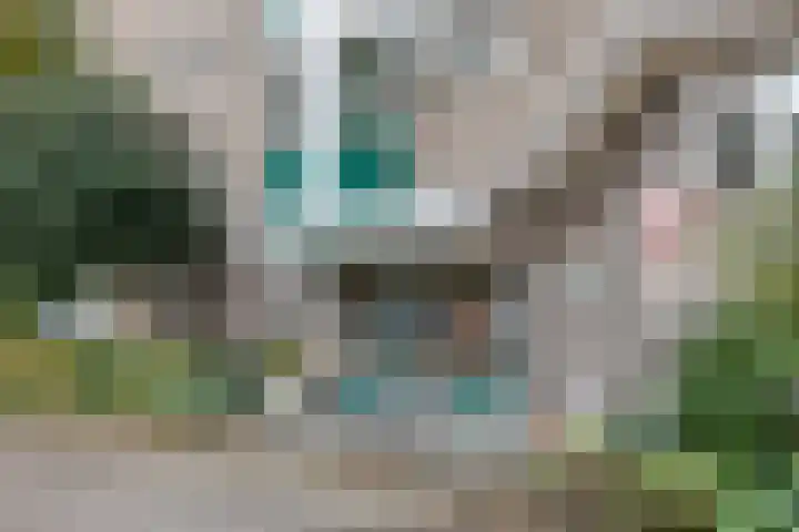 Koningsberg 73 Doorwerth thumbnail 5