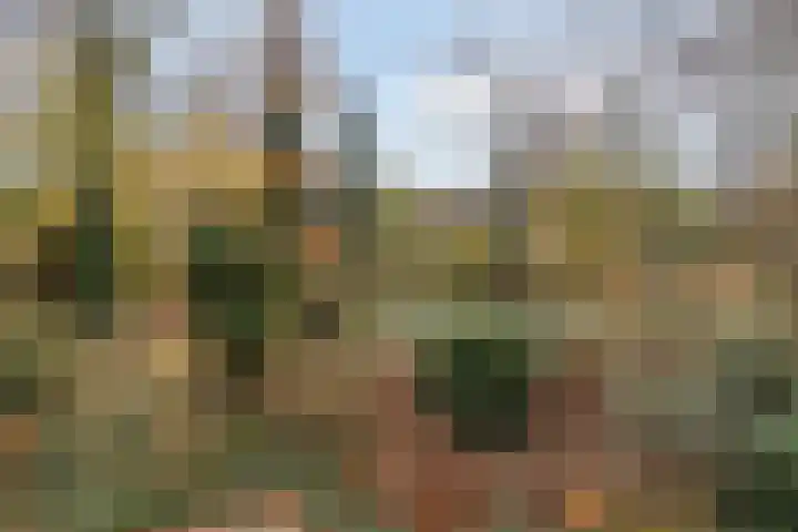 Koningsberg 8 Doorwerth thumbnail 27