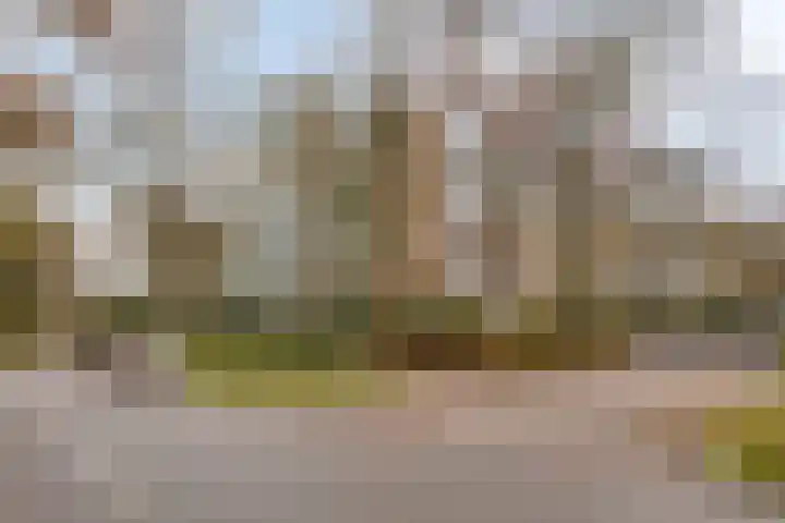 Koningsberg 8 Doorwerth thumbnail 32