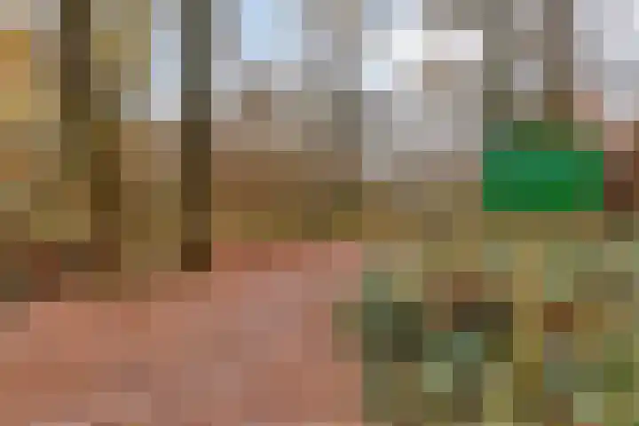 Koningsberg 8 Doorwerth thumbnail 34