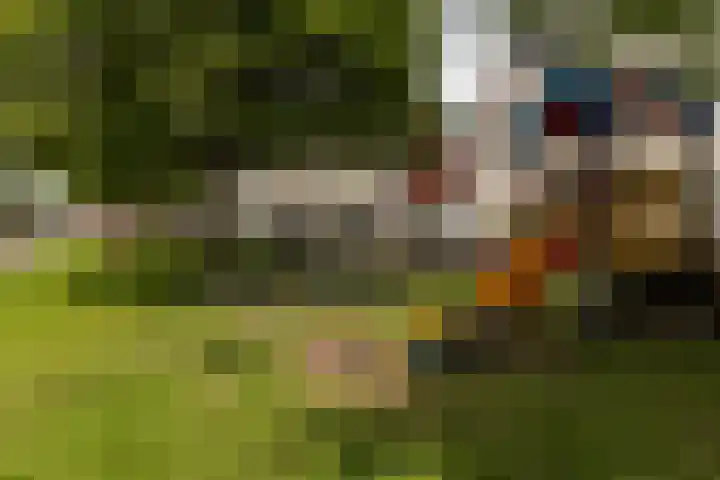 Koningsbergen 17 Wormer thumbnail 29