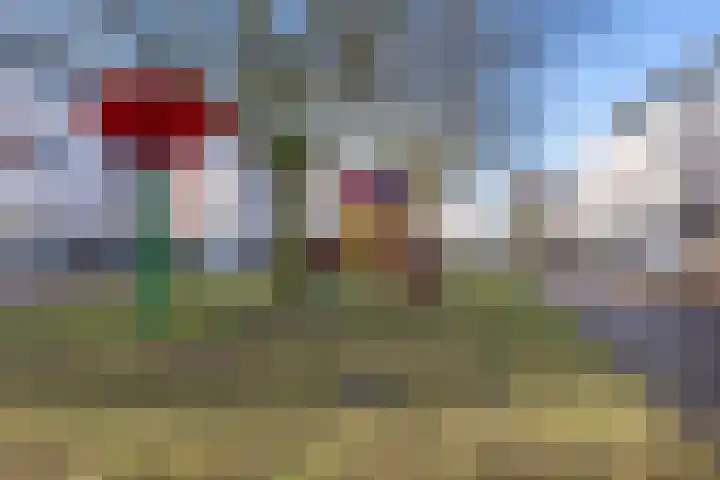 Koningsbergen 32 Wormer thumbnail 54