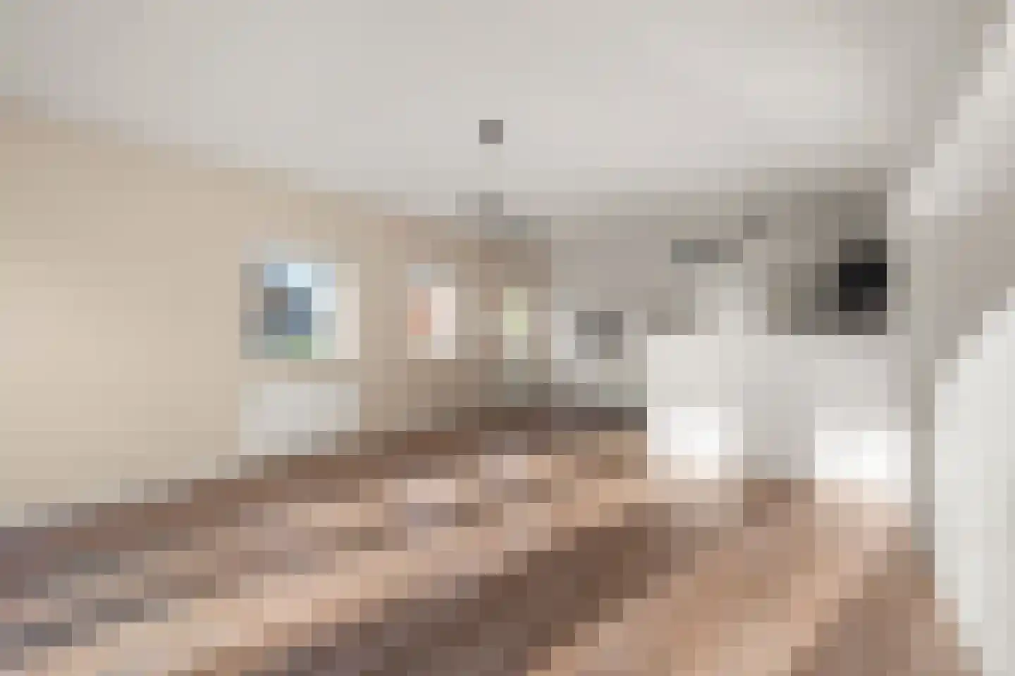 Koningsbergenstraat 2 Lelystad thumbnail 7