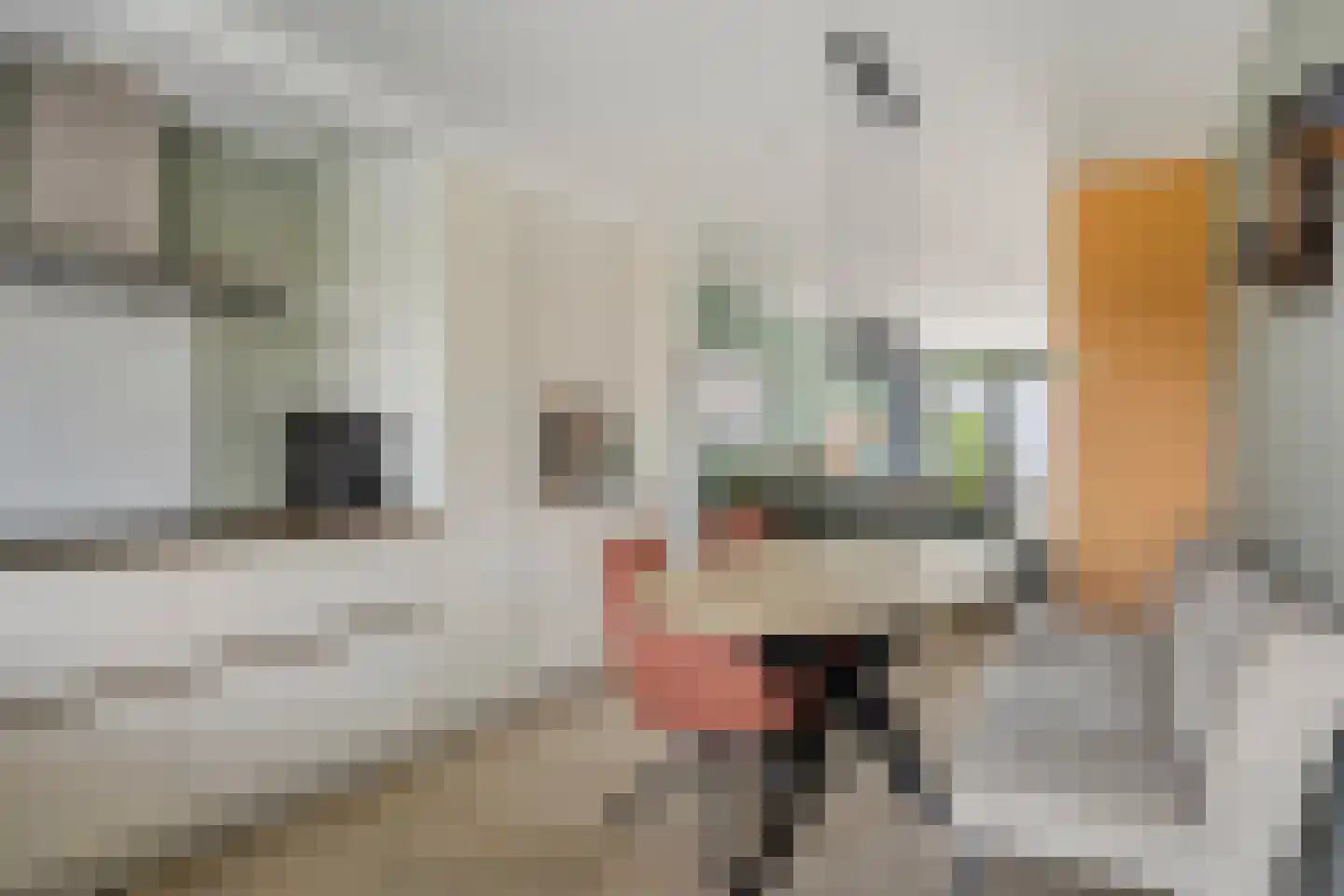 Koningsboulevard 174 Huissen thumbnail 15