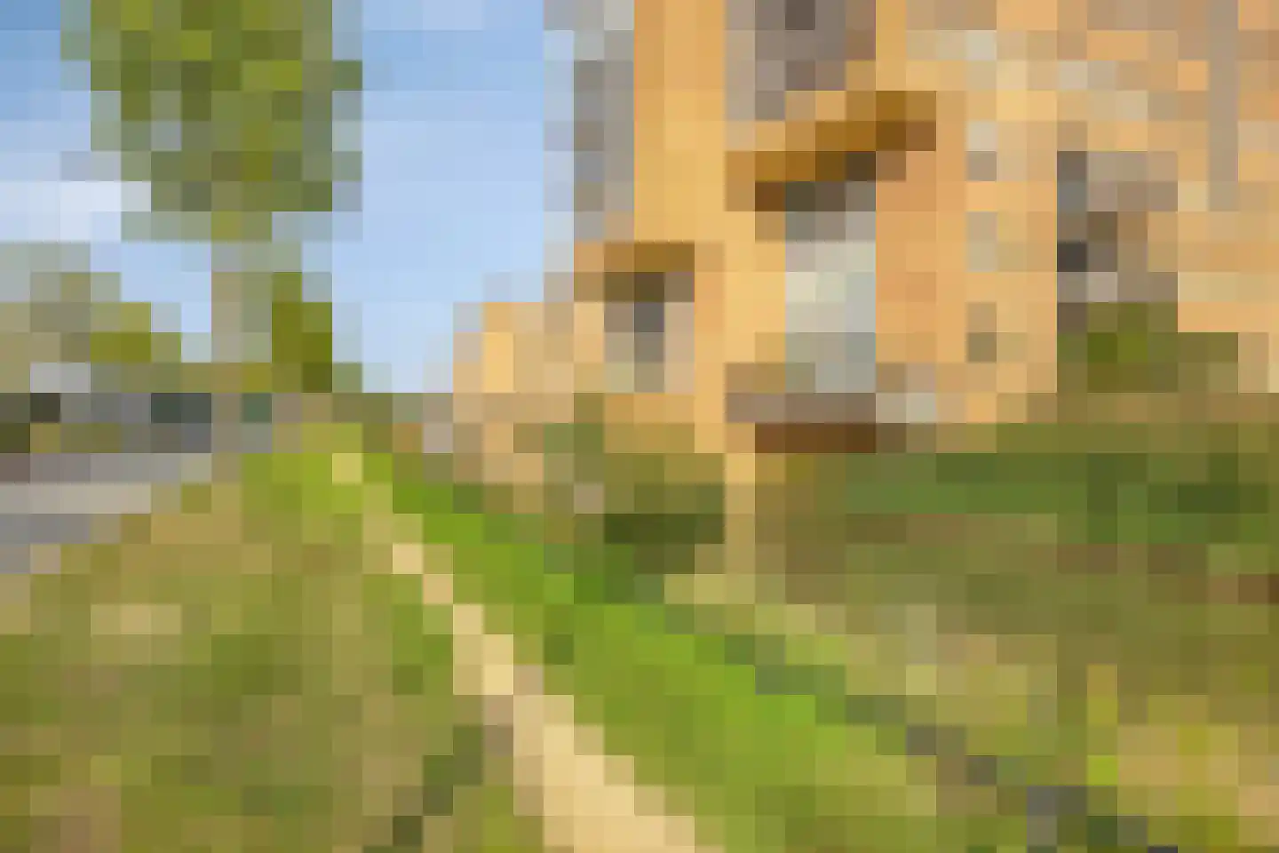 Koningsboulevard 174 Huissen thumbnail 41