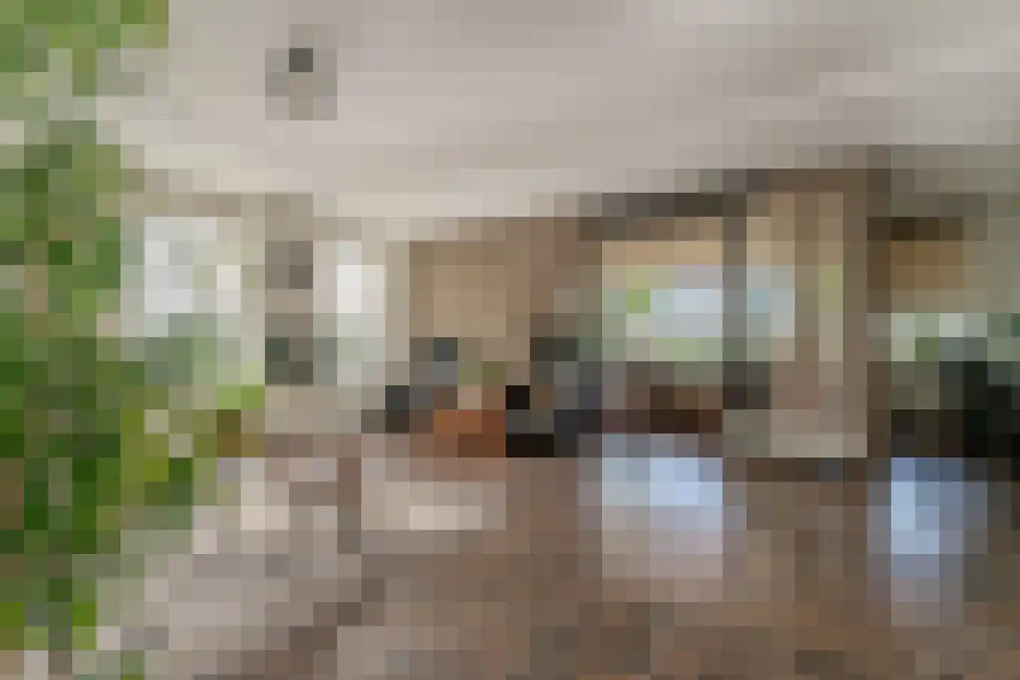 Koningsboulevard 3 Huissen thumbnail 13
