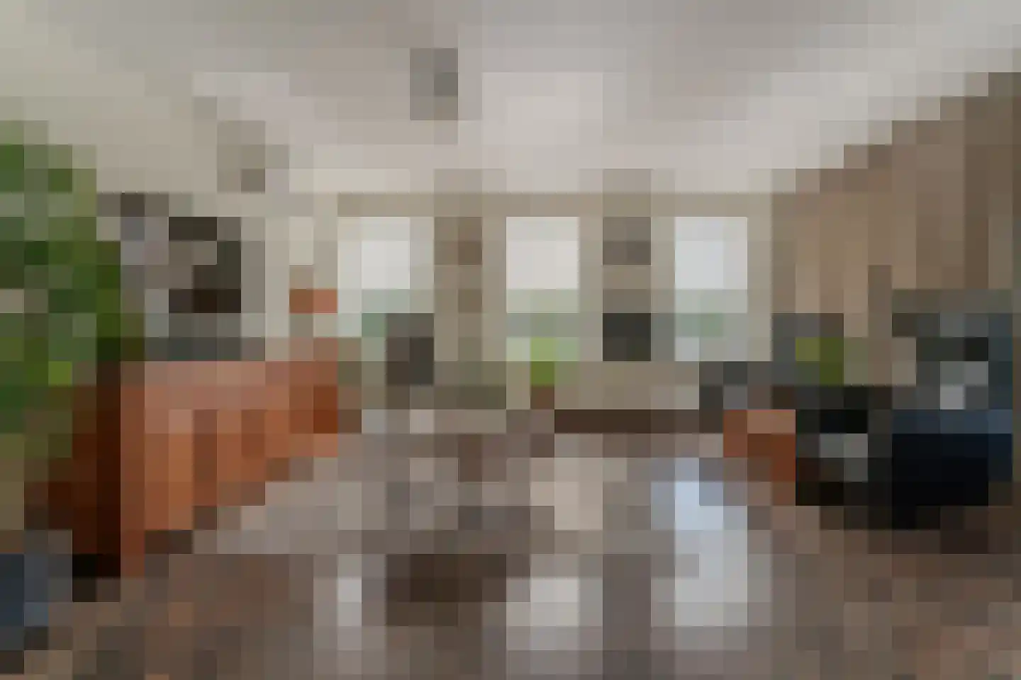 Koningsboulevard 3 Huissen thumbnail 14