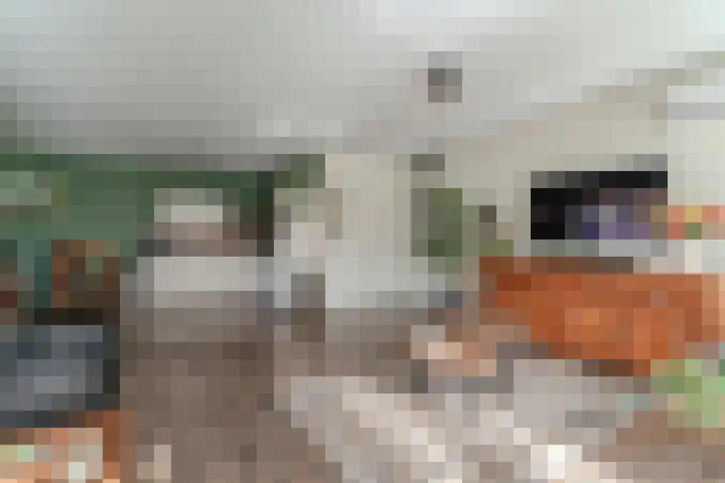 Koningsboulevard 3 Huissen thumbnail 16