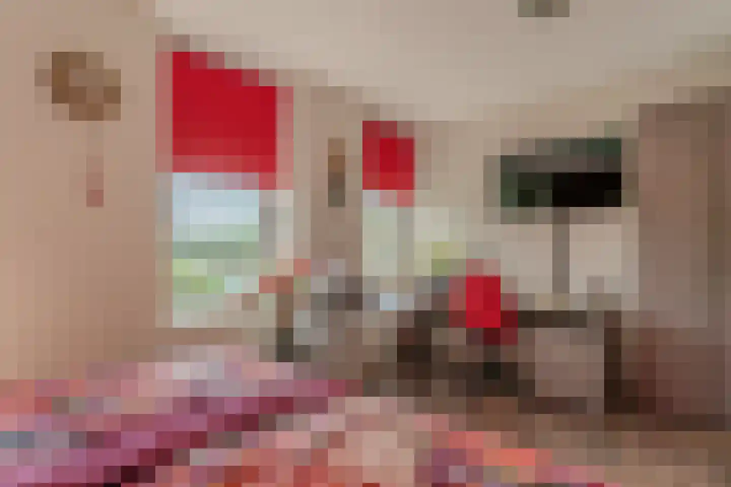 Koningsboulevard 3 Huissen thumbnail 25
