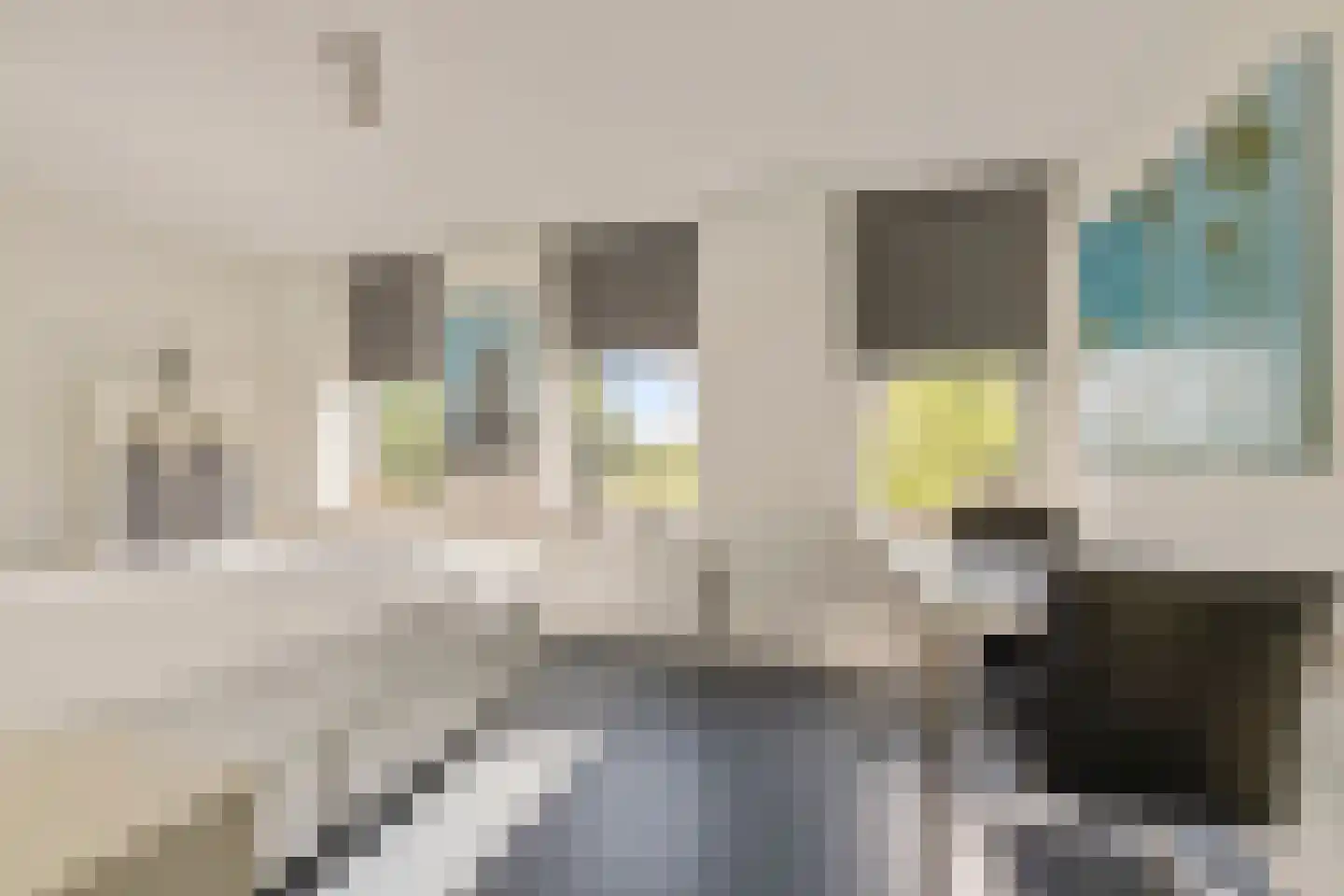 Koningsboulevard 43 Huissen thumbnail 15