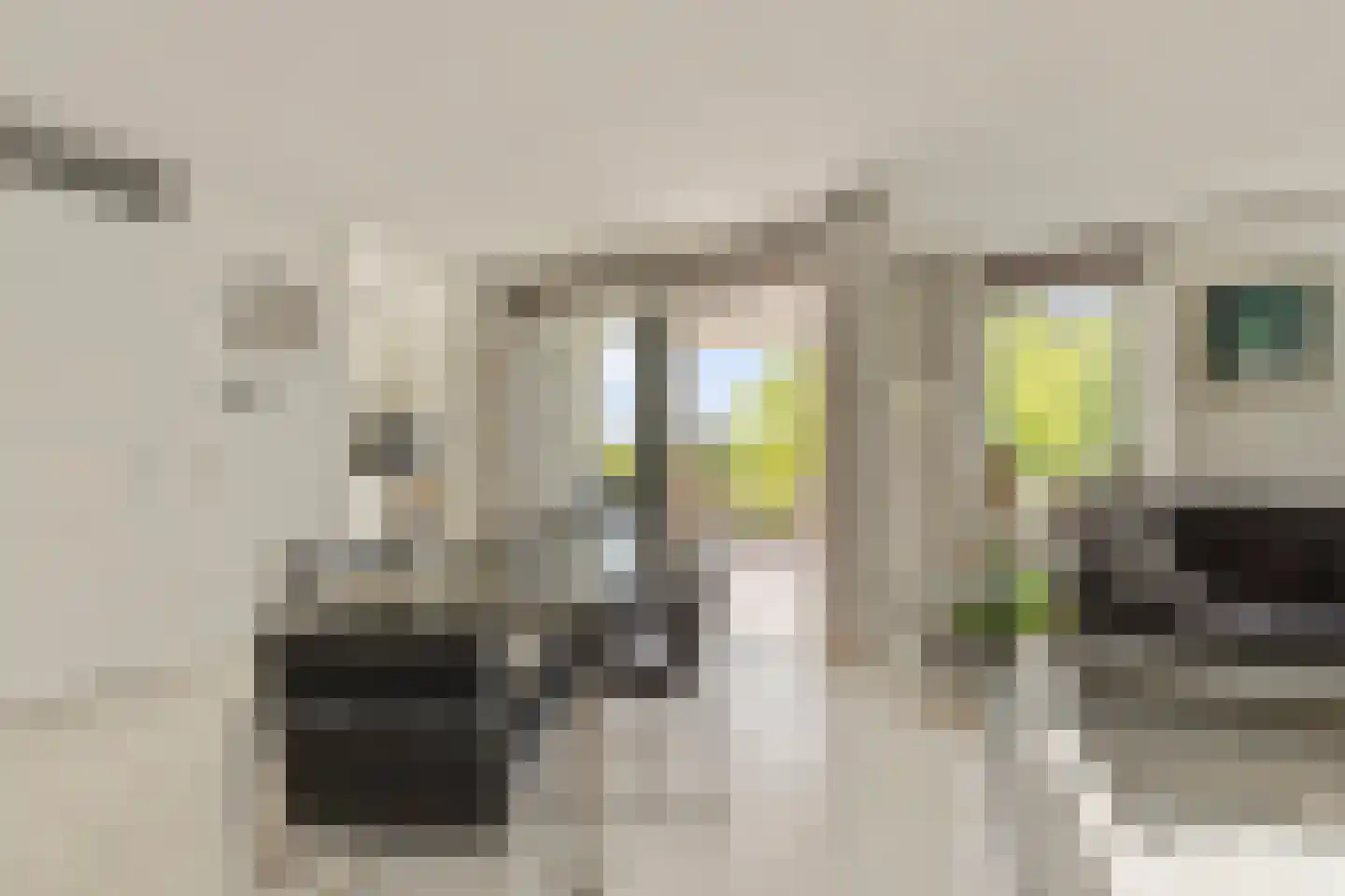 Koningsboulevard 43 Huissen thumbnail 8