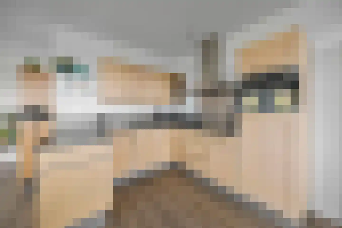 Koningsboulevard 89 Huissen thumbnail 12