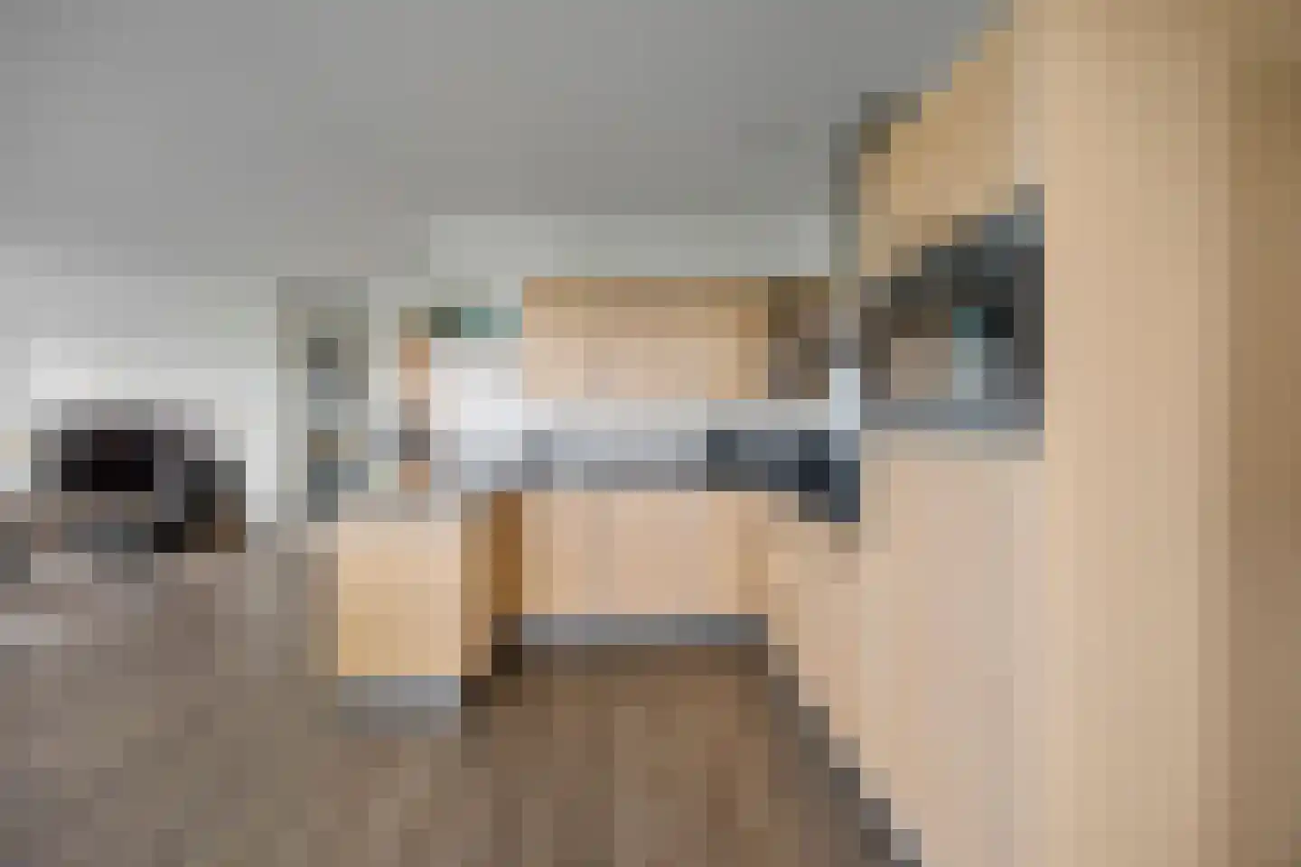 Koningsboulevard 89 Huissen thumbnail 13