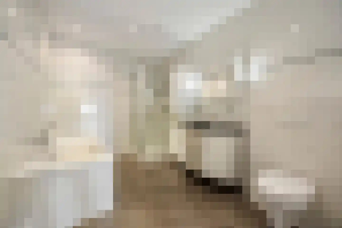 Koningsboulevard 89 Huissen thumbnail 20
