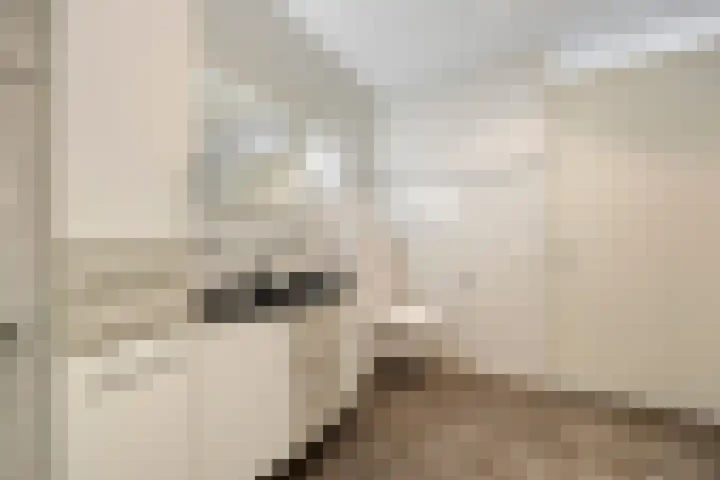 Koningsboulevard 89 Huissen thumbnail 21