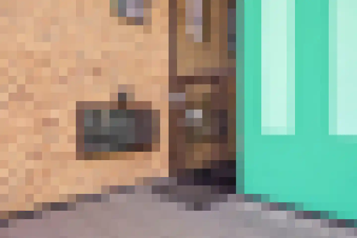 Koningsboulevard 89 Huissen thumbnail 26