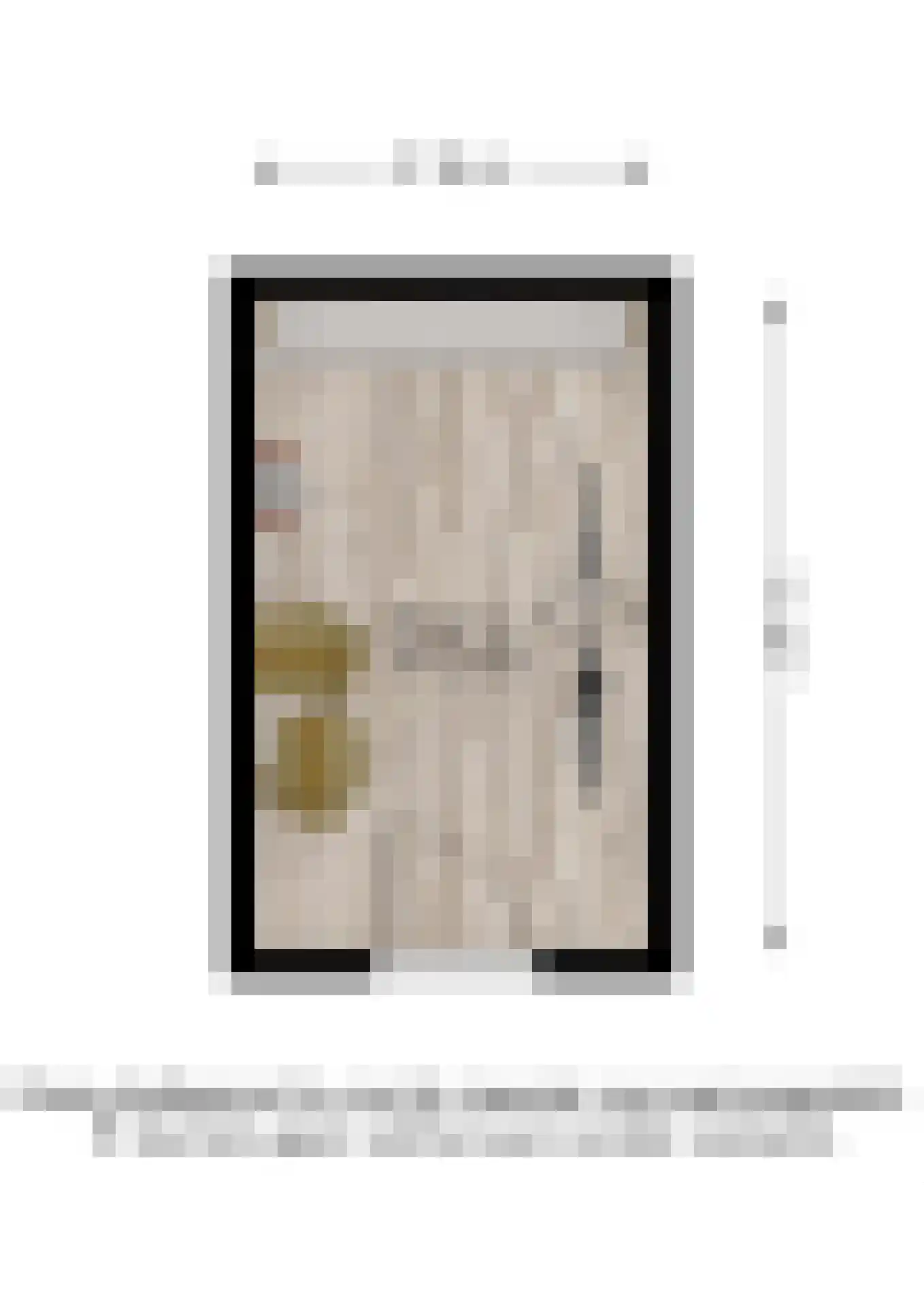 Koningsboulevard 89 Huissen thumbnail 39
