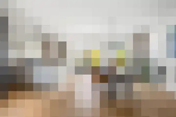 Koningsbrink 1 Julianadorp thumbnail 19