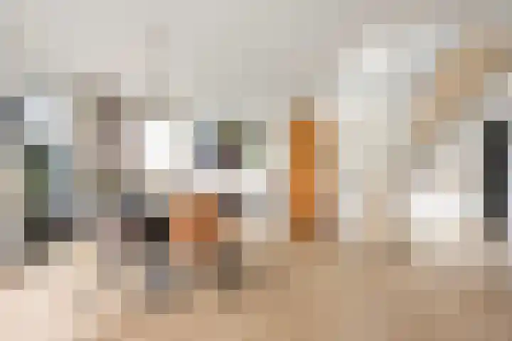 Koningsbrink 1 Julianadorp thumbnail 20