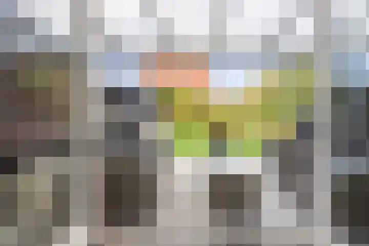 Koningsbrink 1 Julianadorp thumbnail 25