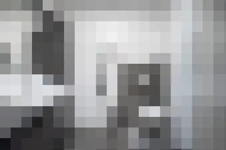 Koningsbrink 1 Julianadorp thumbnail 30