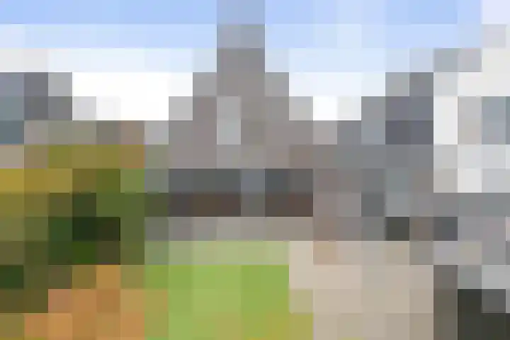 Koningsbrink 1 Julianadorp thumbnail 32