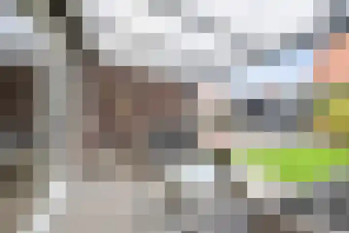 Koningsbrink 1 Julianadorp thumbnail 36