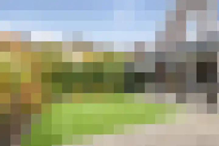 Koningsbrink 1 Julianadorp thumbnail 40