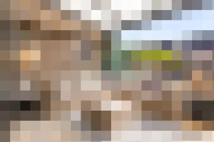 Koningsbrink 108 Julianadorp thumbnail 12