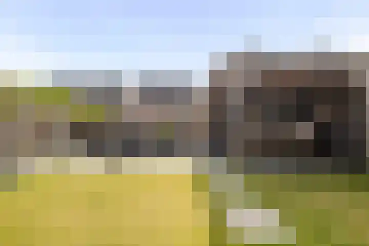 Koningsbrink 108 Julianadorp thumbnail 13