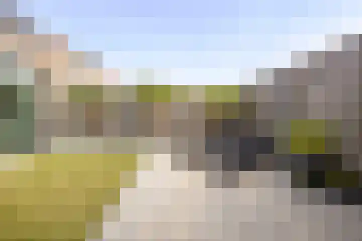 Koningsbrink 108 Julianadorp thumbnail 17