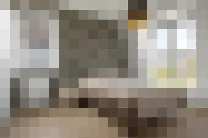 Koningsbrink 108 Julianadorp thumbnail 18