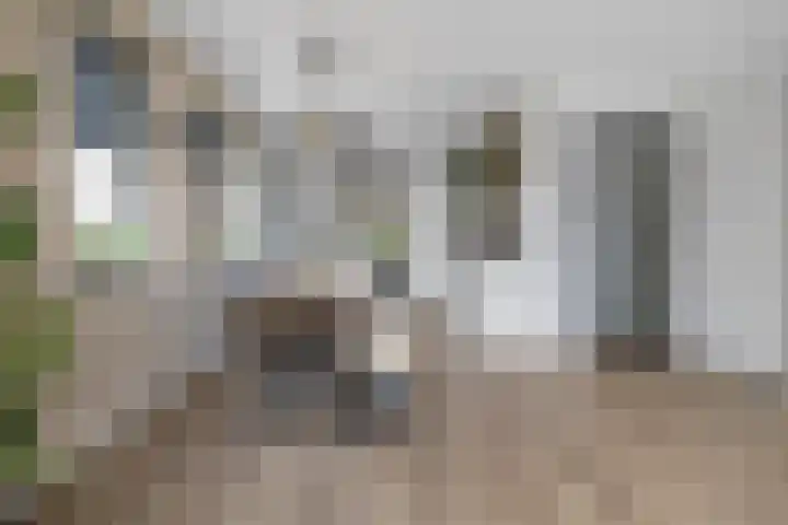 Koningsbrink 108 Julianadorp thumbnail 4