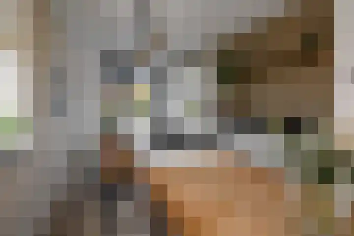 Koningsbrink 108 Julianadorp thumbnail 9