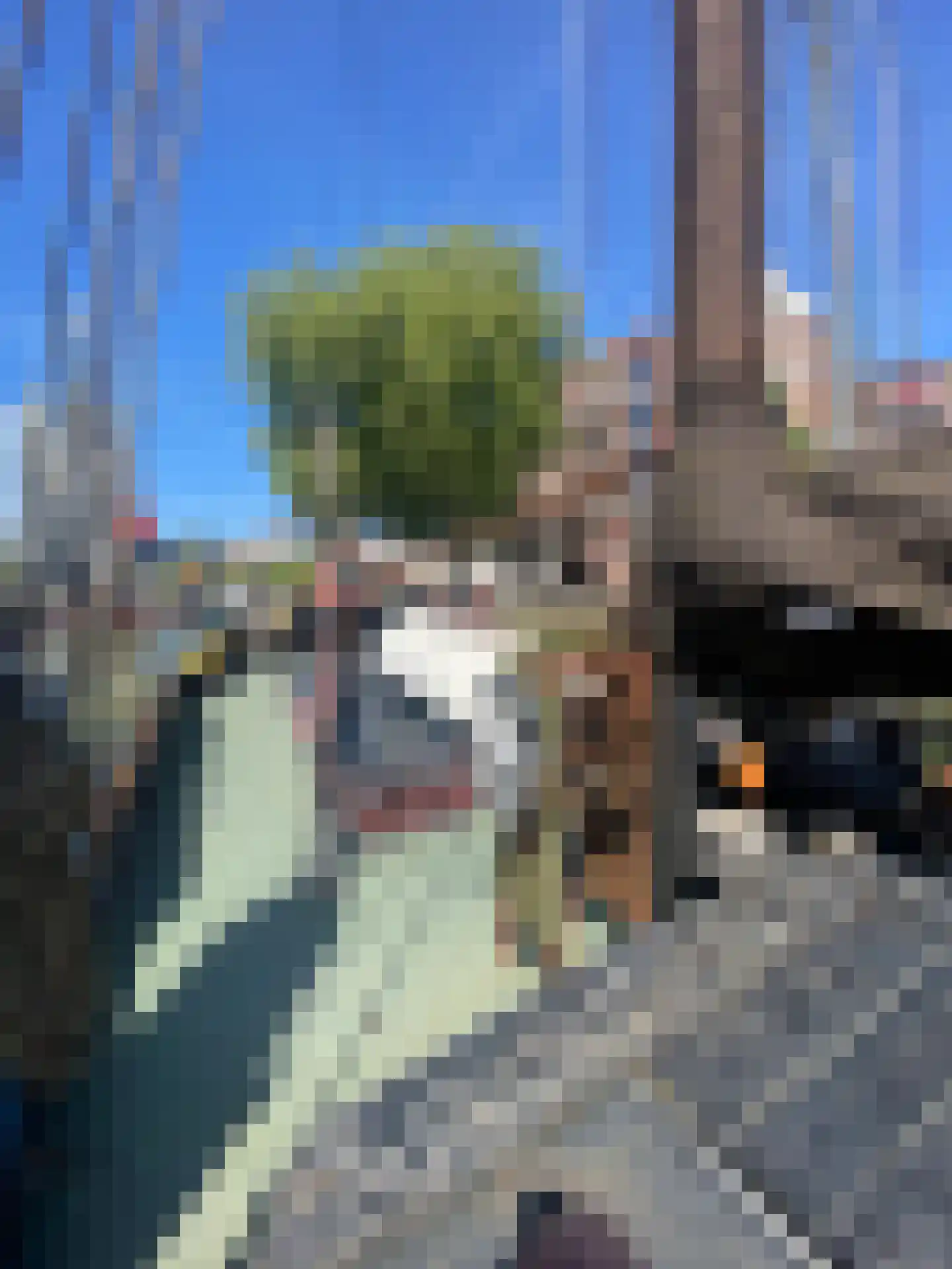 Koningsdam 1 Rotterdam thumbnail 8