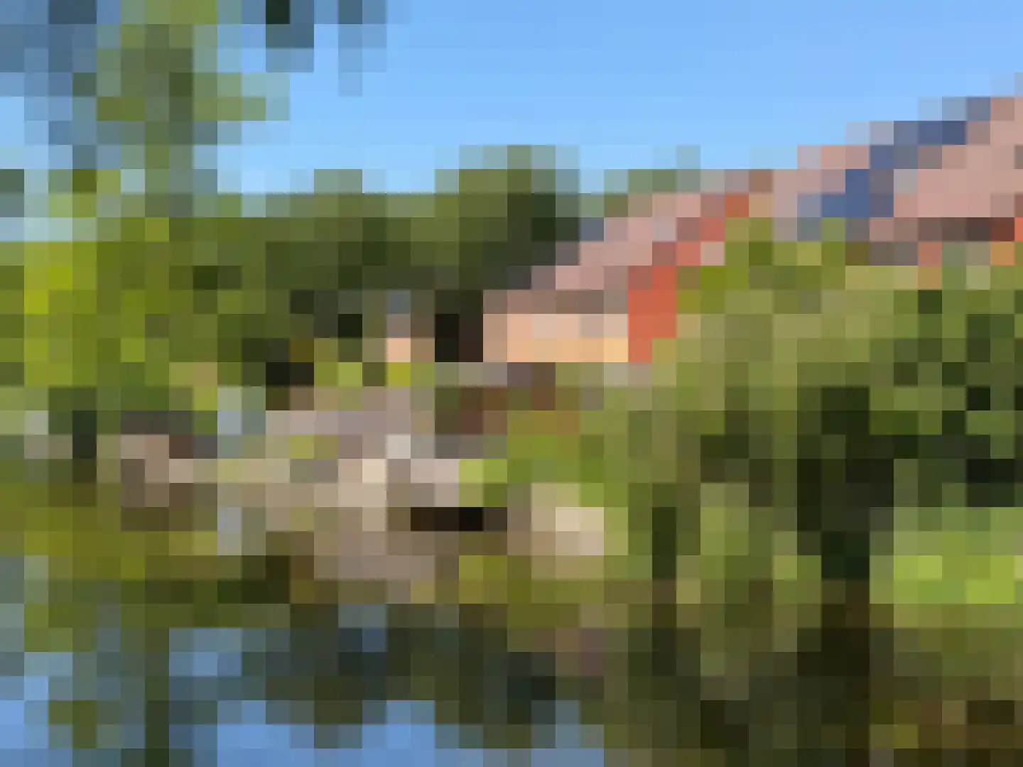 Koningsdiep 11 Zaandam thumbnail 25
