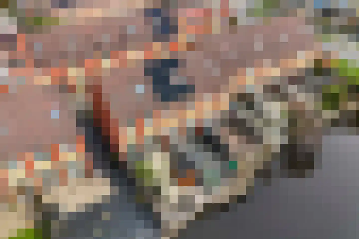 Koningsdiep 11 Zaandam thumbnail 27